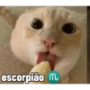 escorpião m