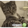 virgem.m