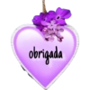 Gratidão Obrigada 27