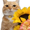 Flores Amarillas🌻🌻 11