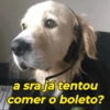 a sra já tentou comer o boleto?