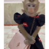 Monos 11