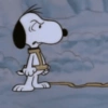 🐾Snoopy enojado 😡 2 🦴 23