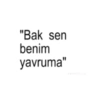 "Bak sen benim yavruma" despotify_zzy