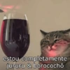 Funny cat 🐈🐈 15