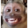 MIQUITOS 7