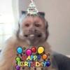 Happy BiRth Day! HAPPY BIRTHDAY