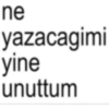 ne yazacagimi yine unuttum