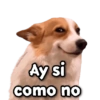 ecisectove Stickers Ay si como no