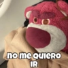 Lotso🐻🩷 10