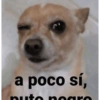 Pa tu 28