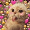 ✨️💖🐱 AMOR | GATOS 🐱💖✨️ 16