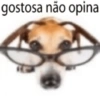 Apaixonados ❤️ 9