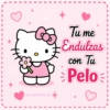 🎀Hello Kitty💖Reina Pepiada🎀 7