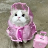 Kucing Cosplay 11