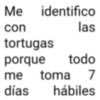 Me identifico con las tortugas porque todo me toma 7 días hábiles
