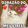 Para casal 6