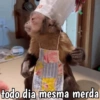 🐒 Macaco Engraçado  30