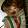 🇲🇽VIVA MÉXICO LINDO🇲🇽 6