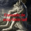 Lobo solirario 🐺 | meme 17