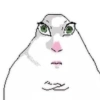 Hamster dibujo meme 15