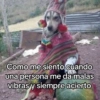 🍃🐶🧿 Perro Chamán 🧿🐶🍃 19