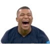Copa do Mundo 2022 19