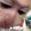 Deixa eu ver