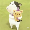 Sion Cow Meme Sapi 14