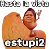 Hasta la vista estupi2 geysioy