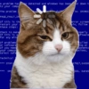 Emoções(ou nao) de um gato 6