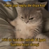 Cattiesays 😺🐈 10