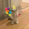 ANO NOVO MEMES ✨️🎉🤣 13