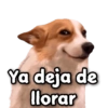 sectove Stickers Ya deja de llorar
