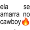 ela se amarra no cawboy ①
