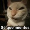 Sé que mientes