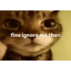 Kitty cats 2 21