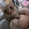 @sono_petrikov 26
