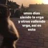 Memes Sin Sentido🥴🫧  18