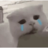 Gato triste 😎 8