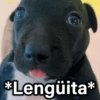 *Lengüita*