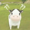 Sion Cow Meme Sapi 10