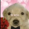 Nooo 19