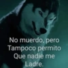 Lobo solirario 🐺 | meme 22