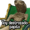 Toy destrozado papito
