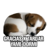Perritos 5