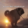 Memes Sin Sentido🥴🫧  25
