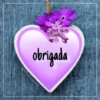 Gratidão Obrigada 28