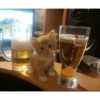 Kitty cats 2 26