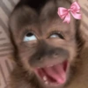 Monyet lusyu 11